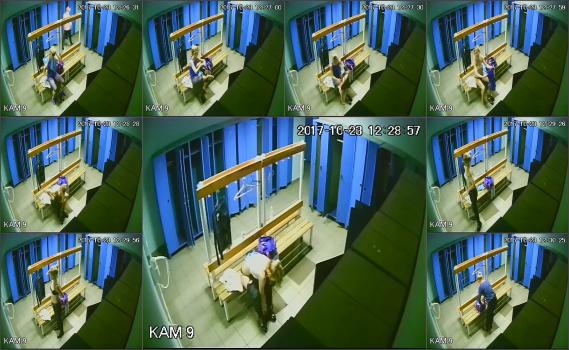 https://t35.pixhost.to/thumbs/140/122428896_hackingcameras_9145-mp4.jpg